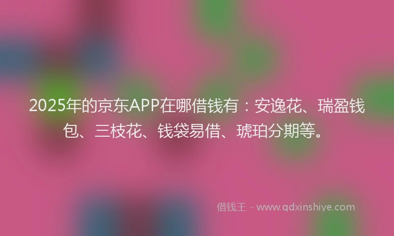 2025年的京东APP在哪借钱有：安逸花、瑞盈钱包、三枝花、钱袋易借、琥珀分期等。