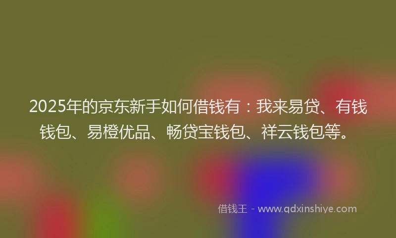 2025年的京东新手如何借钱有：我来易贷、有钱钱包、易橙优品、畅贷宝钱包、祥云钱包等。