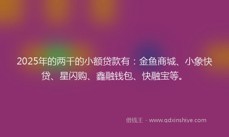 2025年的两千的小额贷款有：金鱼商城、小象快贷、星闪购、鑫融钱包、快融宝等。