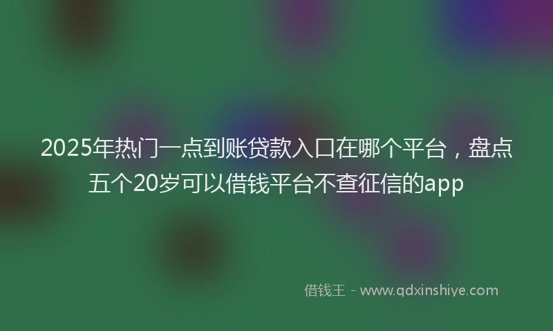 2025年热门一点到账贷款入口在哪个平台，盘点五个20岁可以借钱平台不查征信的app