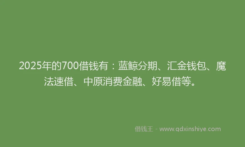 2025年的700借钱有：蓝鲸分期、汇金钱包、魔法速借、中原消费金融、好易借等。