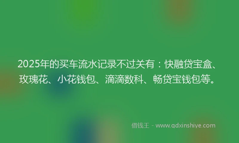 2025年的买车流水记录不过关有：快融贷宝盒、玫瑰花、小花钱包、滴滴数科、畅贷宝钱包等。