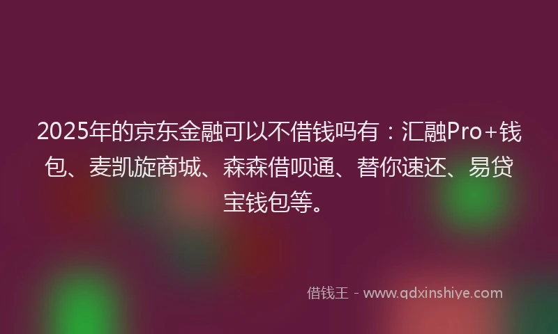 2025年的京东金融可以不借钱吗有：汇融Pro+钱包、麦凯旋商城、森森借呗通、替你速还、易贷宝钱包等。