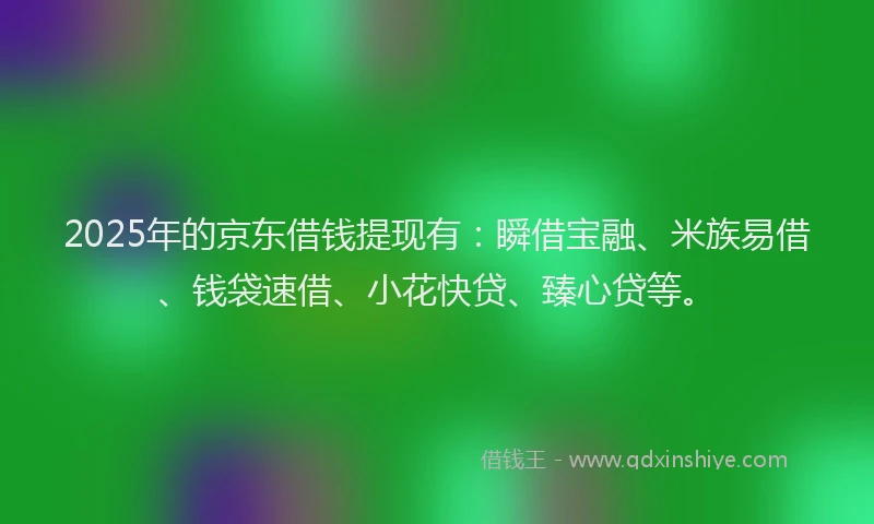 2025年的京东借钱提现有：瞬借宝融、米族易借、钱袋速借、小花快贷、臻心贷等。