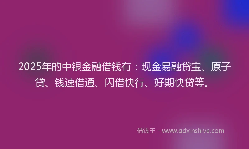 2025年的中银金融借钱有：现金易融贷宝、原子贷、钱速借通、闪借快行、好期快贷等。