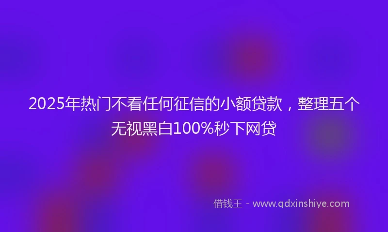 2025年热门不看任何征信的小额贷款，整理五个无视黑白100%秒下网贷