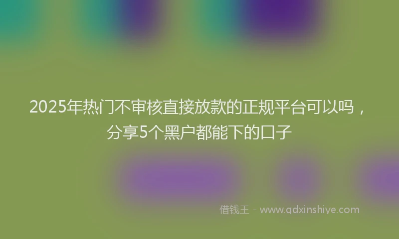 2025年热门不审核直接放款的正规平台可以吗，分享5个黑户都能下的口子