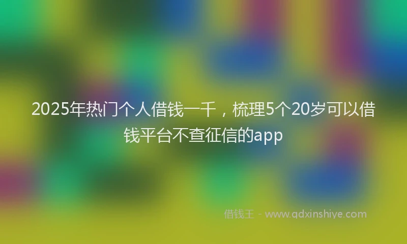 2025年热门个人借钱一千，梳理5个20岁可以借钱平台不查征信的app