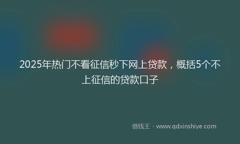 2025年热门不看征信秒下网上贷款，概括5个不上征信的贷款口子
