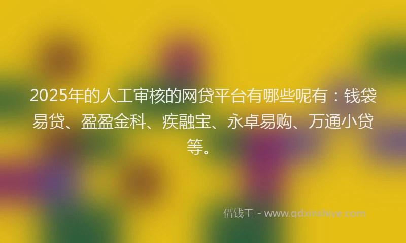 2025年的人工审核的网贷平台有哪些呢有：钱袋易贷、盈盈金科、疾融宝、永卓易购、万通小贷等。