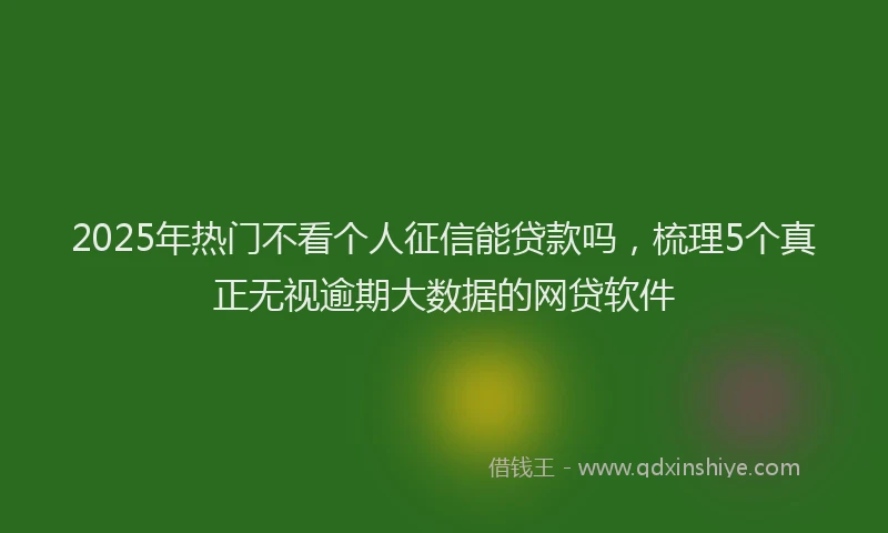 2025年热门不看个人征信能贷款吗，梳理5个真正无视逾期大数据的网贷软件