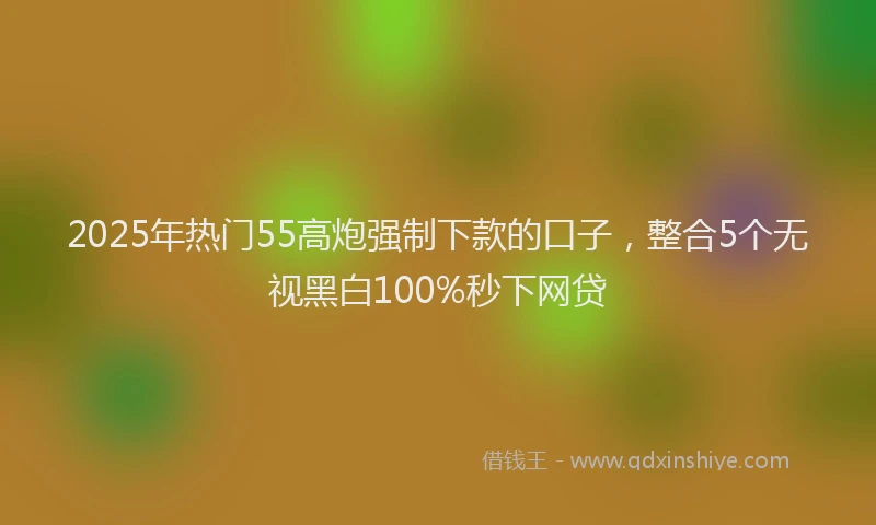 2025年热门55高炮强制下款的口子，整合5个无视黑白100%秒下网贷