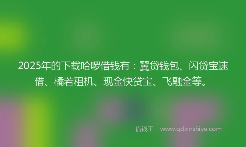 2025年的下载哈啰借钱有：翼贷钱包、闪贷宝速借、橘若租机、现金快贷宝、飞融金等。