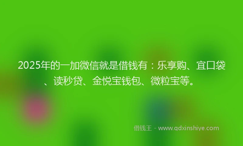 2025年的一加微信就是借钱有：乐享购、宜口袋、读秒贷、金悦宝钱包、微粒宝等。
