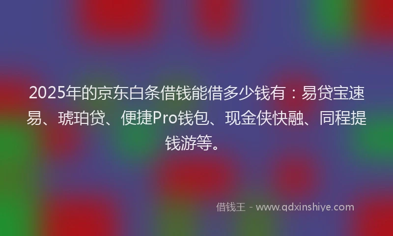 2025年的京东白条借钱能借多少钱有：易贷宝速易、琥珀贷、便捷Pro钱包、现金侠快融、同程提钱游等。