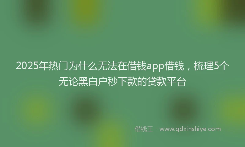2025年热门为什么无法在借钱app借钱，梳理5个无论黑白户秒下款的贷款平台