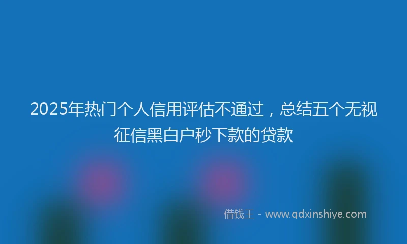 2025年热门个人信用评估不通过，总结五个无视征信黑白户秒下款的贷款