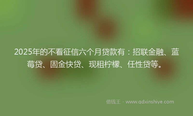 2025年的不看征信六个月贷款有：招联金融、蓝莓贷、固金快贷、现租柠檬、任性贷等。