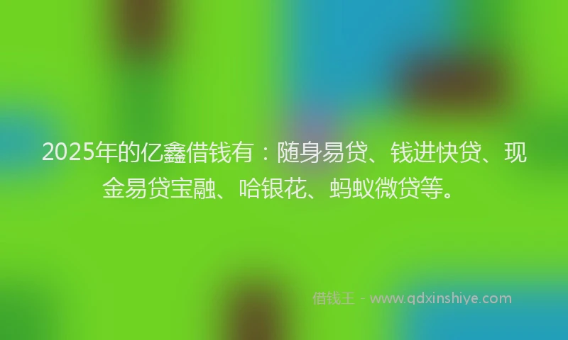 2025年的亿鑫借钱有：随身易贷、钱进快贷、现金易贷宝融、哈银花、蚂蚁微贷等。