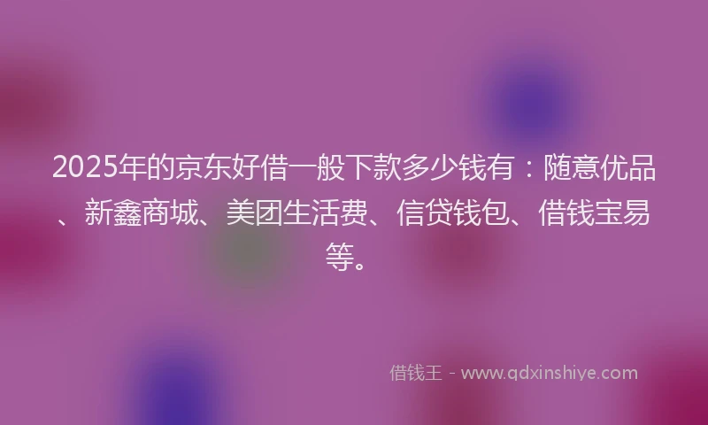 2025年的京东好借一般下款多少钱有：随意优品、新鑫商城、美团生活费、信贷钱包、借钱宝易等。