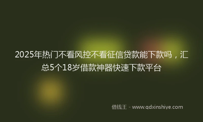 2025年热门不看风控不看征信贷款能下款吗，汇总5个18岁借款神器快速下款平台