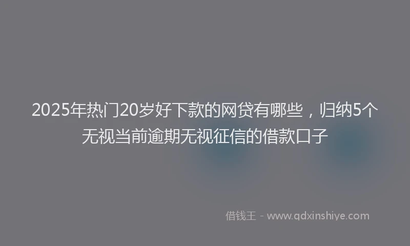 2025年热门20岁好下款的网贷有哪些，归纳5个无视当前逾期无视征信的借款口子