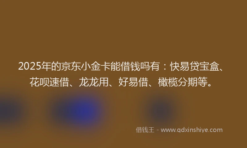 2025年的京东小金卡能借钱吗有：快易贷宝盒、花呗速借、龙龙用、好易借、橄榄分期等。