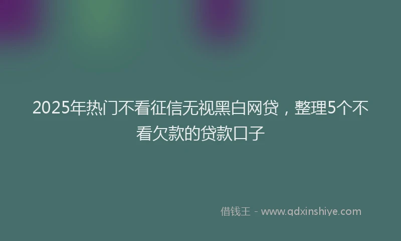 2025年热门不看征信无视黑白网贷，整理5个不看欠款的贷款口子