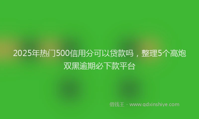 2025年热门500信用分可以贷款吗，整理5个高炮双黑逾期必下款平台