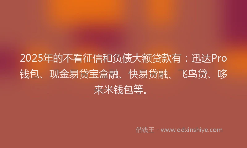2025年的不看征信和负债大额贷款有：迅达Pro钱包、现金易贷宝盒融、快易贷融、飞鸟贷、哆来米钱包等。