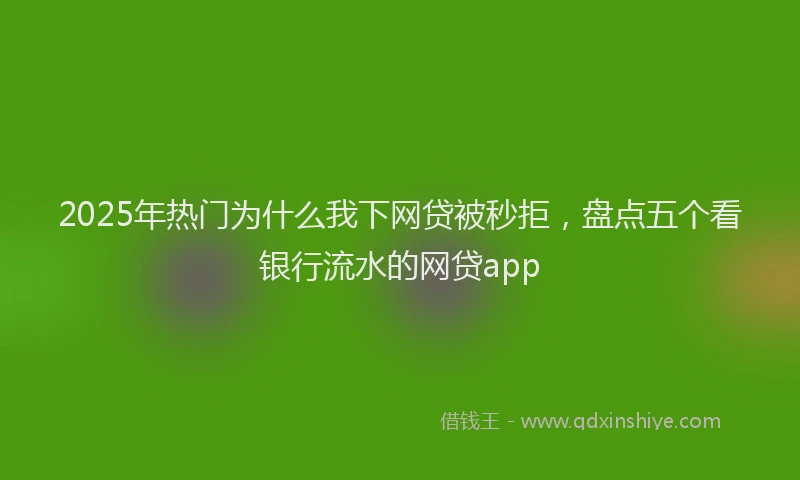 2025年热门为什么我下网贷被秒拒，盘点五个看银行流水的网贷app