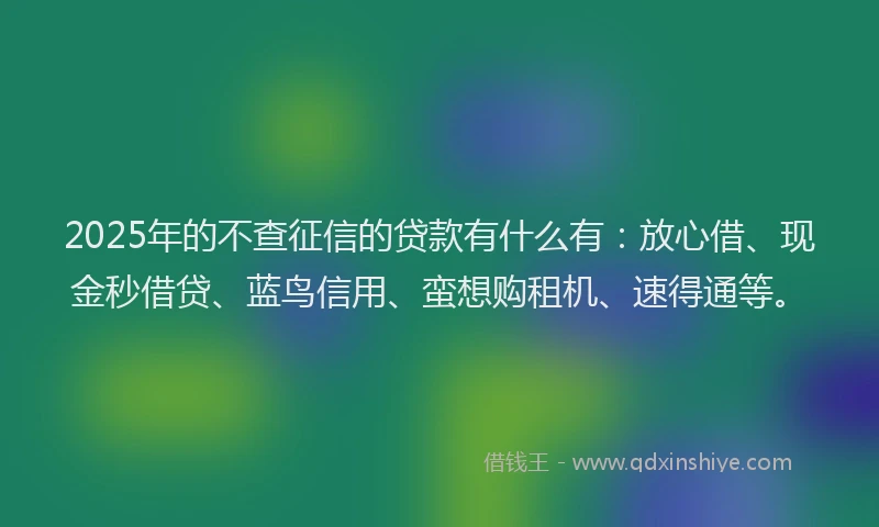 2025年的不查征信的贷款有什么有：放心借、现金秒借贷、蓝鸟信用、蛮想购租机、速得通等。