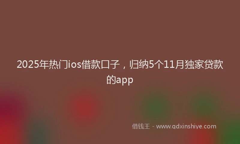 2025年热门ios借款口子，归纳5个11月独家贷款的app