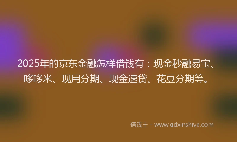 2025年的京东金融怎样借钱有：现金秒融易宝、哆哆米、现用分期、现金速贷、花豆分期等。
