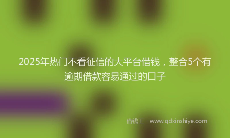 2025年热门不看征信的大平台借钱，整合5个有逾期借款容易通过的口子