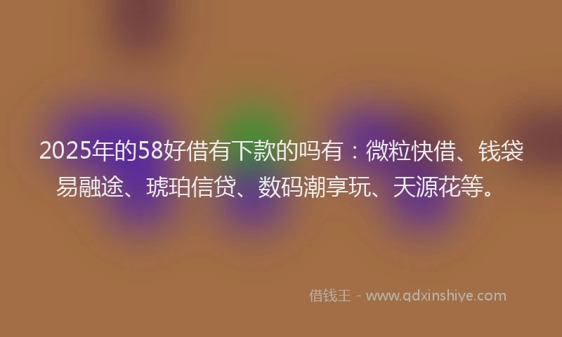 2025年的58好借有下款的吗有：微粒快借、钱袋易融途、琥珀信贷、数码潮享玩、天源花等。