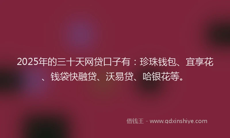 2025年的三十天网贷口子有：珍珠钱包、宜享花、钱袋快融贷、沃易贷、哈银花等。