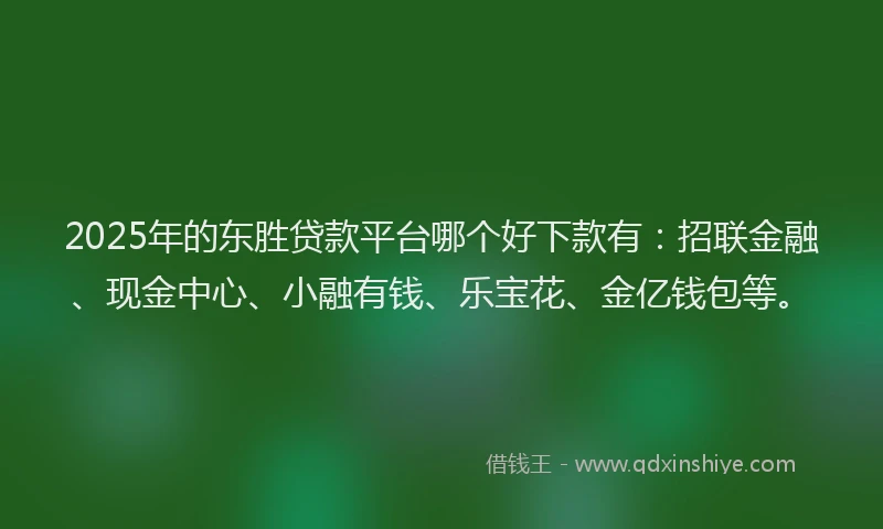 2025年的东胜贷款平台哪个好下款有：招联金融、现金中心、小融有钱、乐宝花、金亿钱包等。