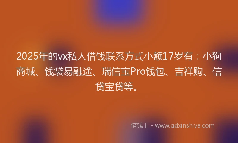 2025年的vx私人借钱联系方式小额17岁有：小狗商城、钱袋易融途、瑞信宝Pro钱包、吉祥购、信贷宝贷等。