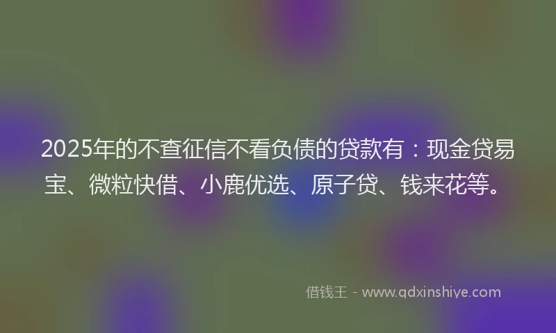 2025年的不查征信不看负债的贷款有：现金贷易宝、微粒快借、小鹿优选、原子贷、钱来花等。