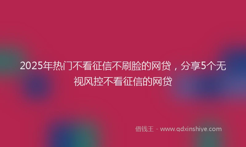 2025年热门不看征信不刷脸的网贷，分享5个无视风控不看征信的网贷