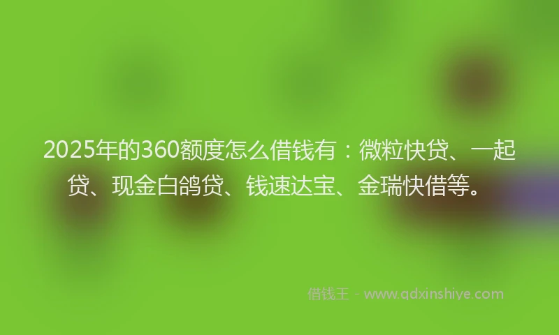 2025年的360额度怎么借钱有：微粒快贷、一起贷、现金白鸽贷、钱速达宝、金瑞快借等。