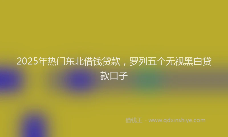2025年热门东北借钱贷款，罗列五个无视黑白贷款口子