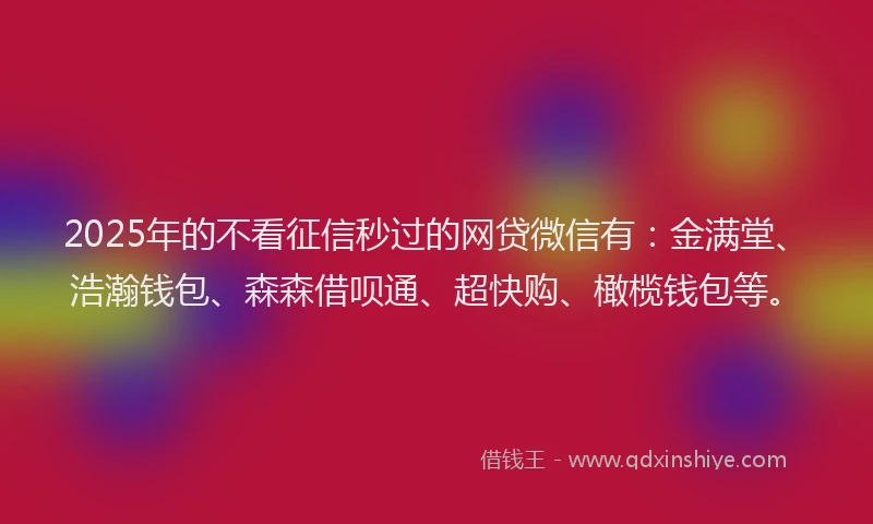 2025年的不看征信秒过的网贷微信有：金满堂、浩瀚钱包、森森借呗通、超快购、橄榄钱包等。