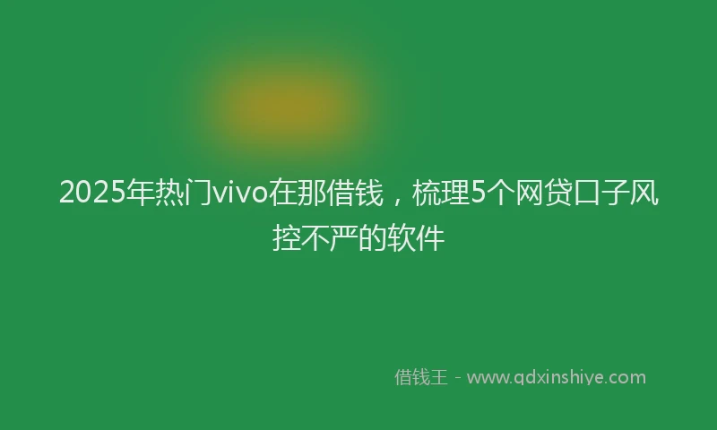 2025年热门vivo在那借钱，梳理5个网贷口子风控不严的软件