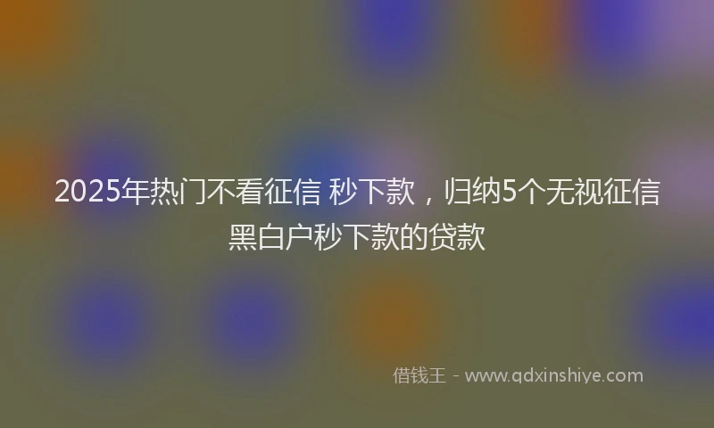 2025年热门不看征信 秒下款，归纳5个无视征信黑白户秒下款的贷款