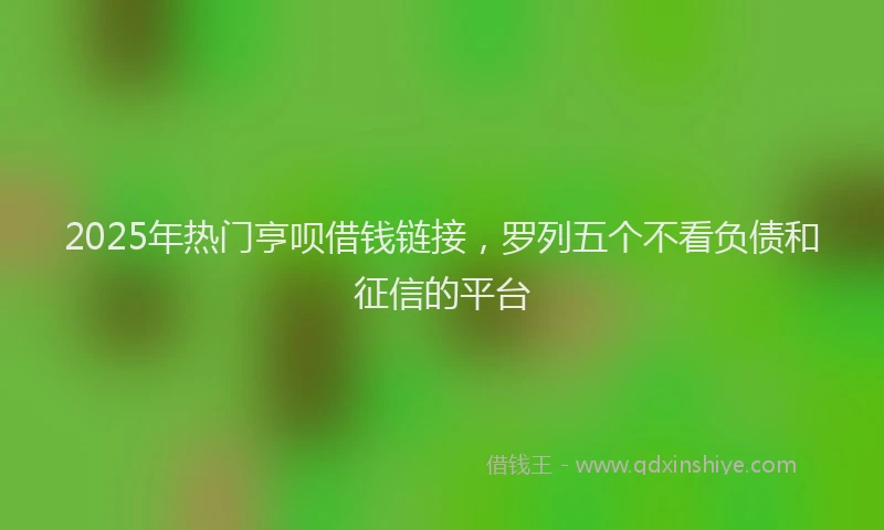 2025年热门亨呗借钱链接，罗列五个不看负债和征信的平台