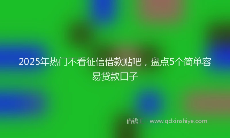 2025年热门不看征信借款贴吧，盘点5个简单容易贷款口子