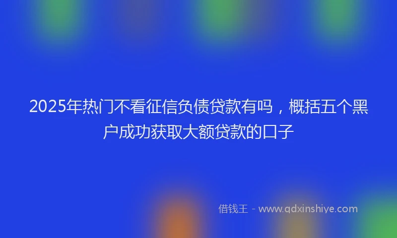 2025年热门不看征信负债贷款有吗，概括五个黑户成功获取大额贷款的口子