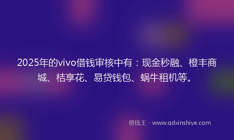 2025年的vivo借钱审核中有：现金秒融、橙丰商城、桔享花、易贷钱包、蜗牛租机等。